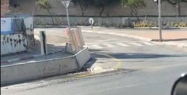 הצפת מי הביוב - כבר מיום שישי | עדכוני רמות
