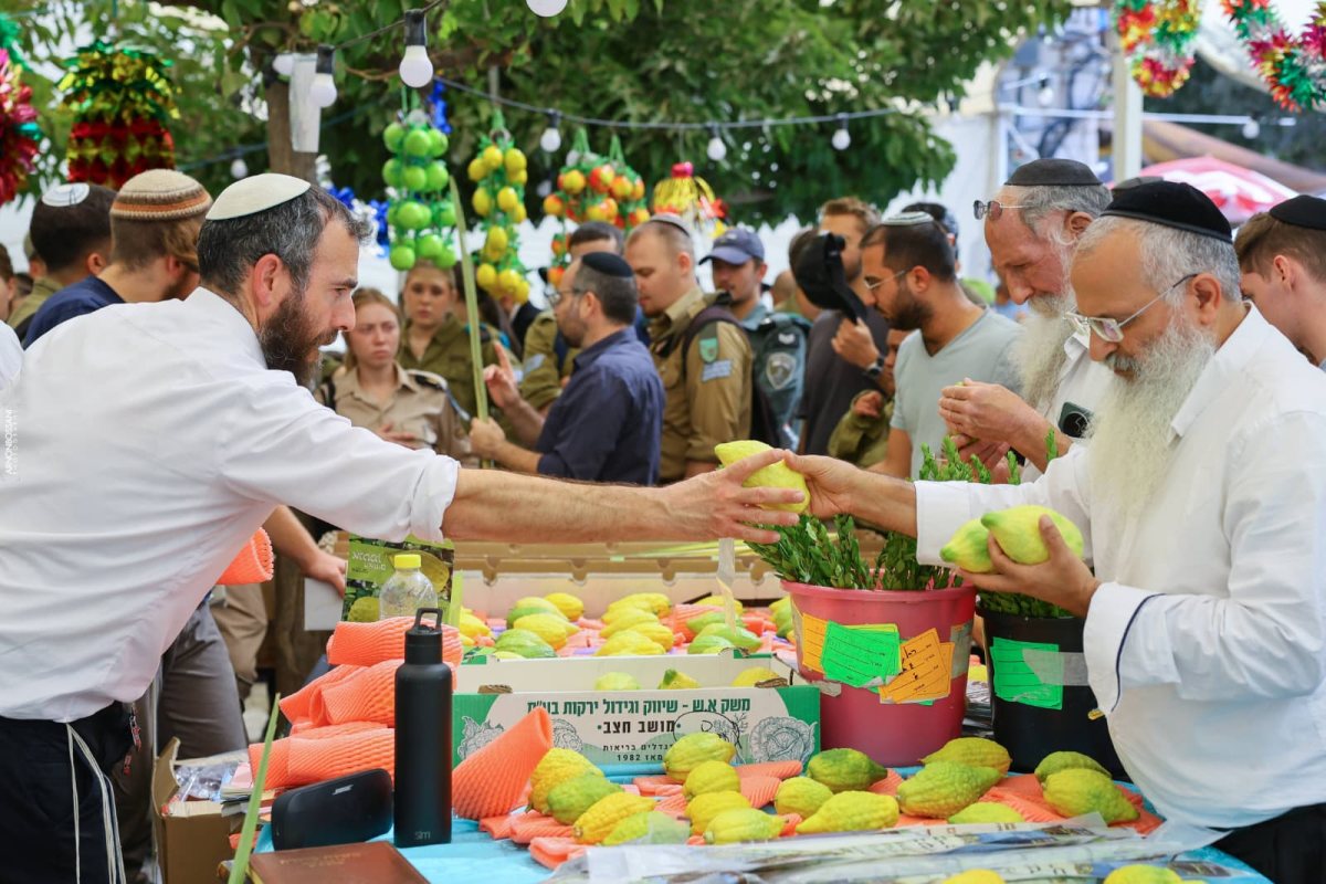 "כל הסחורה א'-א': שוק ארבעת המינים | צילום: ארנון בוסאני