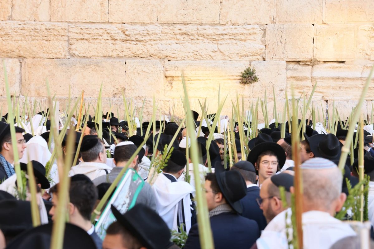 "ולולביהן בידיהן" | סוכות בכותל אשתקד