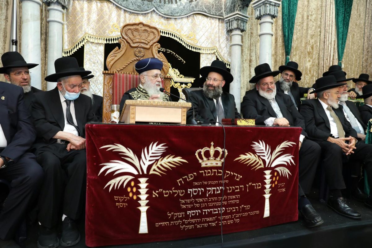 הקבלת פני רבו | צילום: עובדיה כלימי