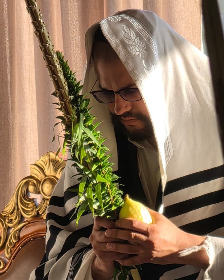 הינוקא בנטילת 4 המינים | שימוש לפי סעיף 27א