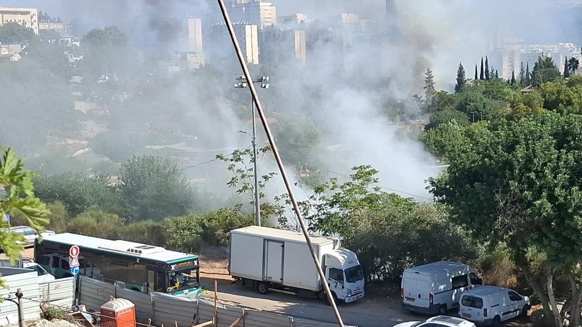 השריפה בגן העץ | כבאות והצלה