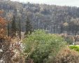 תיקון חוטי הערוב לאחר השריפה. המצלם