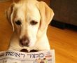 מקור ראשון - מדור הרכילות המפרגן של ראשון לציון