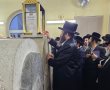 מסע הקודש באוקראינה: האדמו"ר געה בבכי על ציון זקנו (וידאו)