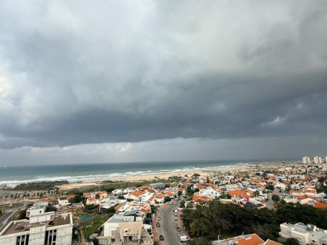צילום: שמואל דוד