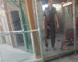 כמו חיה בכלוב | מקור: לירן תמרי 'ידיעות'