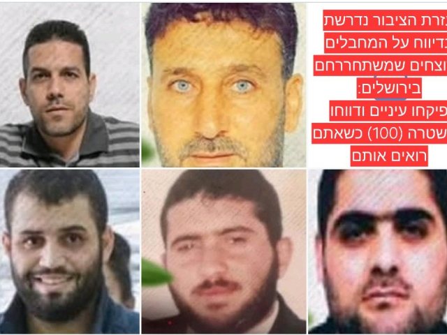 הרוצחים ששוחררו | צילום: אריה קינג