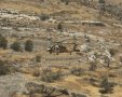 הפינוי במסוק | דוברות המשטרה