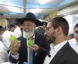"בסבלנות ובמיומנות": הצצה לסוכות ההוראה 