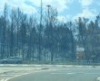 שיקום ארוך שנים: קרן קיימת מעריכה את נזקי השריפות בהרי ירושלים 