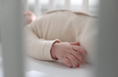 חיידק מסוכן ואלים | אילוסטרציה shutterstock