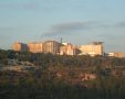 הדסה עין כרם | Almog  ויקיפדיה
