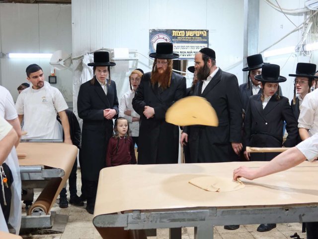 האדמור מקאליב באפיית המצות. א' מיכאלי