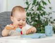 "פיגוע הפרינוק" | אילוסטרציה shutterstock