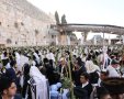 סוכות בכותל | הקרן למורשת הכותל