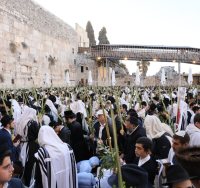 סוכות בכותל | הקרן למורשת הכותל