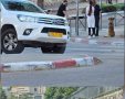 הכלבים המשוטטים | עדכוני רמות