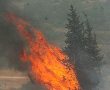 שריפת קוצים בהר חומה: חשד להצתה