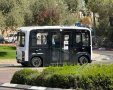 "בוסי" ברחובות רמות | צילום: פרטי