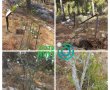 "משחיתים, נמאסתם": התיישבות יהודית כמענה לוונדליזם ערבי בפארק התנ"ך בירושלים | צפו