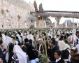 סוכות בכותל | הקרן למורשת הכותל