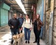 מחפשים טיול בפסח?.  העיר העתיקה בירושלים מונגשת לבעלי מוגבלויות תנועה, עגלות ועיוורים