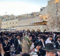 אלפים בכותל | הקרן למורשת הכותל
