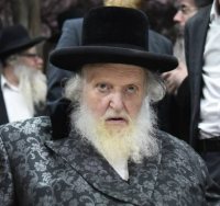 הגאון רבי משה שטרנבוך. צילום: שוקי לרר