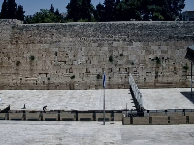 רחבת הכותל ריקה מאדם | הקרן למורשת הכותל