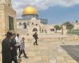 חרדים בהר הבית | ארכיון: מינהלת הר הבית