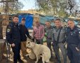 כלבי הרועים שאותרו | דוברות המשטרה
