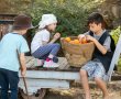 בילוי משפחתי בקיץ באתרי מורשת באזור נס ציונה ורחובות: מה עושים בקיץ עם הילדים. 