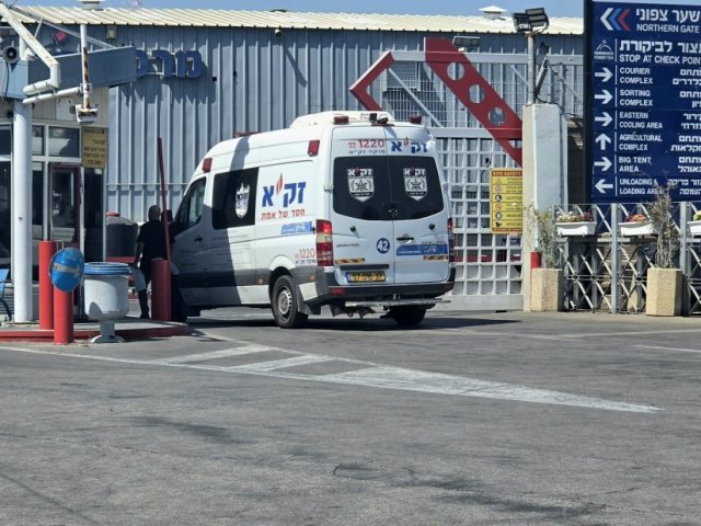 ארכיון דוברות זק"א