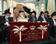 הקבלת פני רבו | צילום: עובדיה כלימי