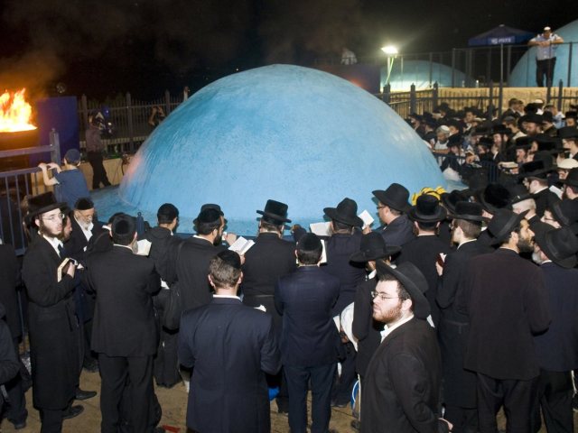 קרדיט עריכה: קובי דגן / Shutterstock.com