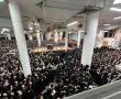 שמחה בגור: נינה נולדה לאדמו"ר שליט"א