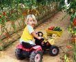 מחפשים פעילות לסוכות? בסוכות מבלים ביישובי הדרום 