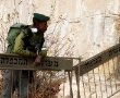 אירוע דקירה במערת המכפלה