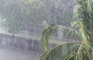 אילוסטרציה shutterstock