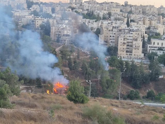 אחת השריפות היום | כבאות והצלה