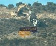 הדיירים הונחו הבוקר להישאר מחוץ לבתיהם | זו הסיבה לאירוע החריג