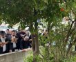 בריות טובות ואילנות טובות: 'ברכת האילנות' עם הרב אילן גוזל ב'ילדי שגיא'