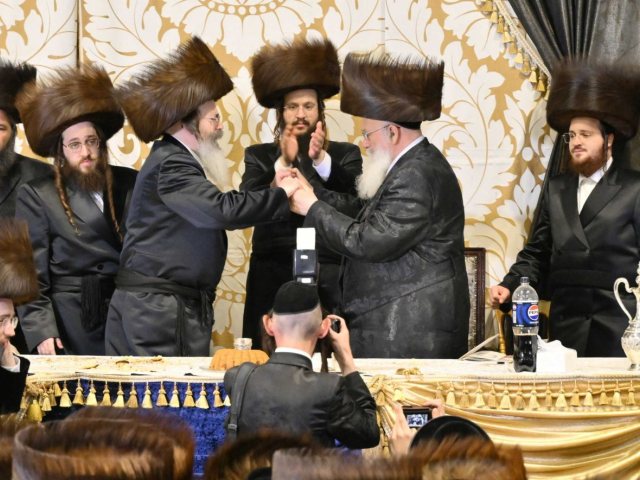 החתונה | צילום: א.ק.