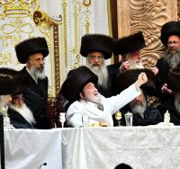 האדמו"ר מויזניץ | צילום: שוקי לרר
