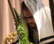 סערה בירושלים: סוכת 'הינוקא' מול החומות פורקה – האם הבוקר נמצא לה פתרון? (וידאו)