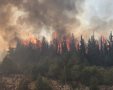 השריפה בהרי ירושלים. צילום: דוברות כבאות והצלה