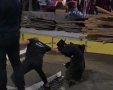 מתוך הסרטון של ראובן ביאלה, דף הטוויטר יואל ברים