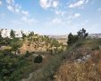 הוואדי בנחל רוממה | צילום: יונתן היימן