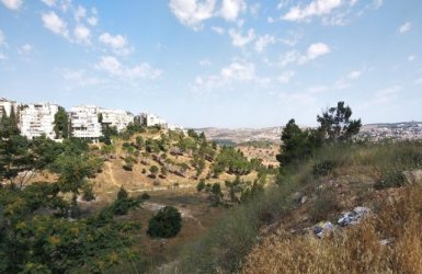 הוואדי בנחל רוממה | צילום: יונתן היימן